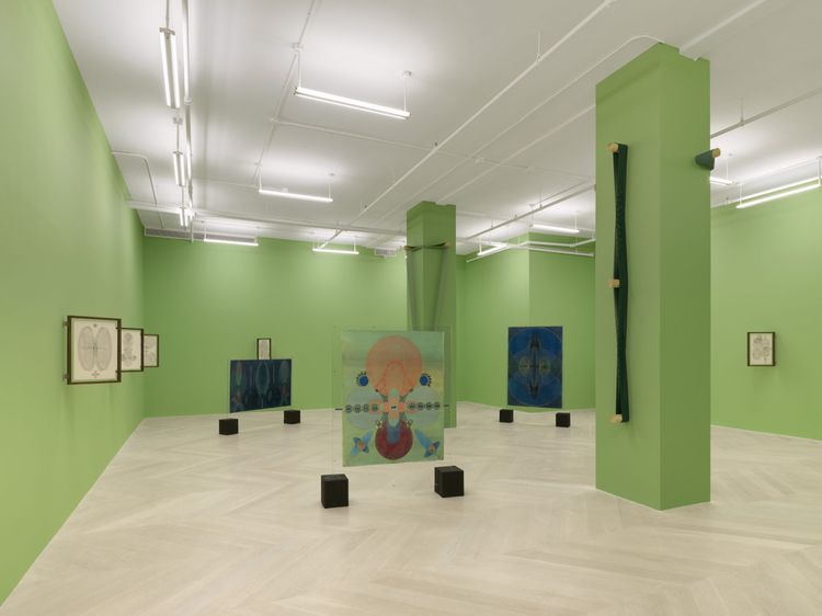 Installation view, Gardens in Orbit, Casey Kaplan · 2026 (5)