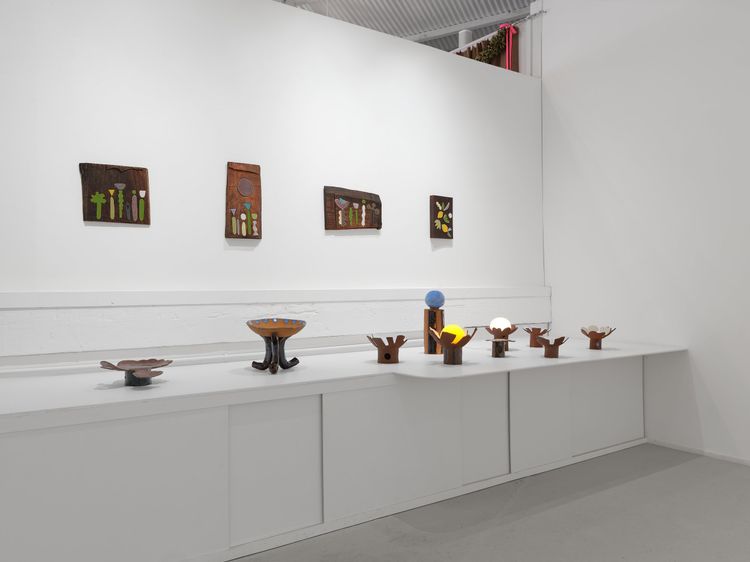 Installation view, Francesca Anfossi, Blunk Space · 2026 (5)