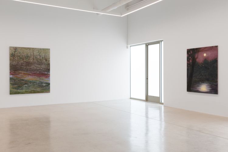 Installation view, Sean Cairns: And when morning comes it comes in the morning and never at night, 12.26 · 2026 (5)