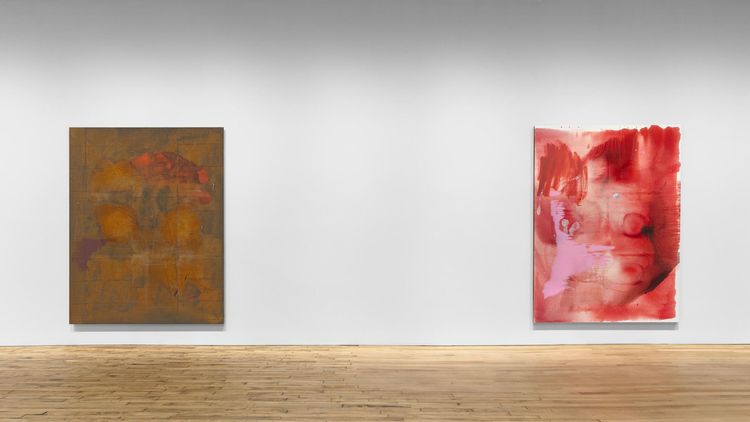 Installation view, This body holds / swamp stuff, David Zwirner, 519 W 19th Street · 2026 (6)