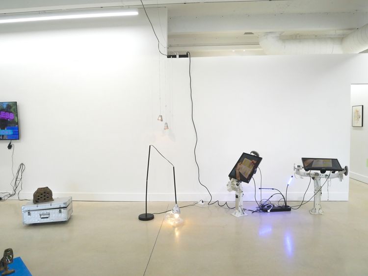 Installation view, Jillian Mayer: Placeholder Future, David Castillo, Miami, 2026