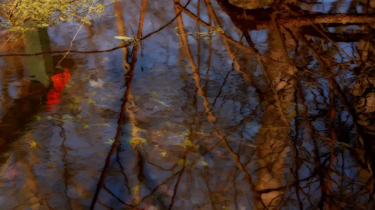Installation view, Maureen O'Leary: The Linden Trees, Cristin Tierney Gallery · 2026 (6)