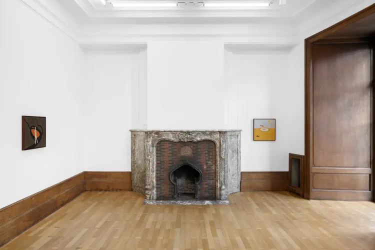 Installation view, Shota Nakamura, Mendes Wood DM · 2026 (6)
