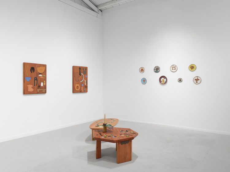 Installation view, Francesca Anfossi, Blunk Space · 2026 (6)