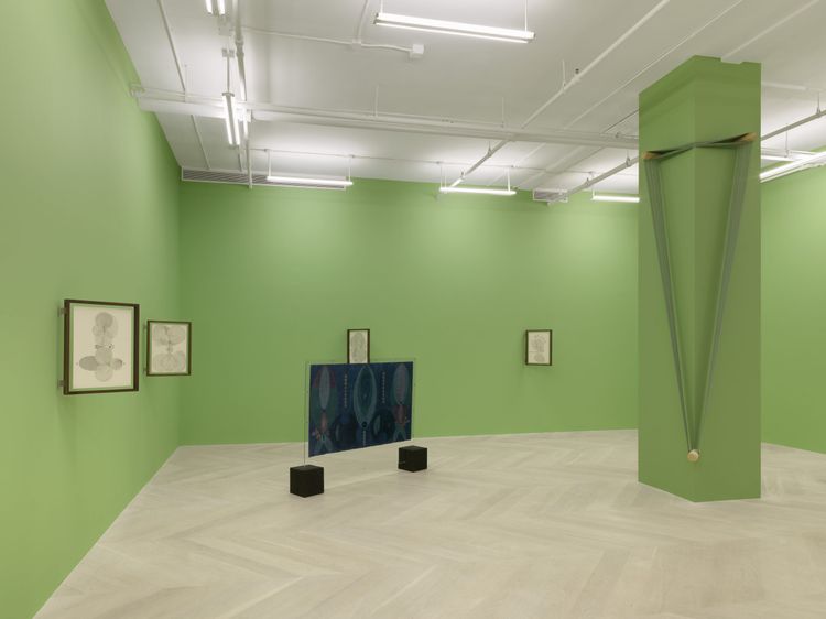Installation view, Gardens in Orbit, Casey Kaplan · 2026 (8)