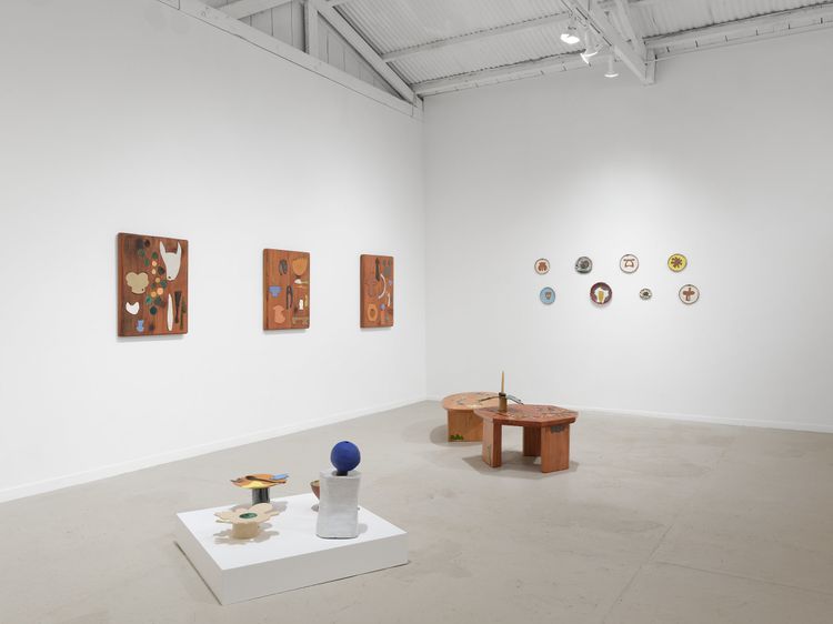Installation view, Francesca Anfossi, Blunk Space · 2026 (8)