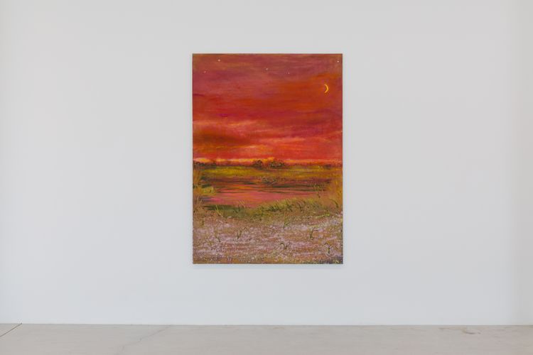 Installation view, Sean Cairns: And when morning comes it comes in the morning and never at night, 12.26 · 2026 (8)