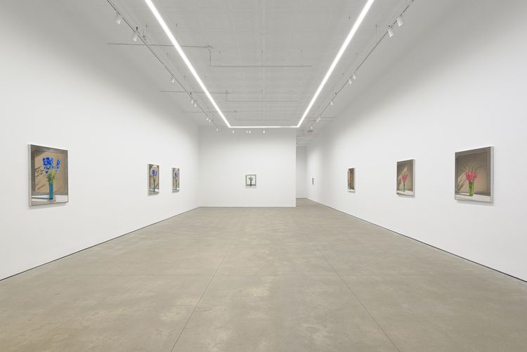 Installation view, fluorochiaroscuro, PPOW, 392 Broadway · 2026 (9)