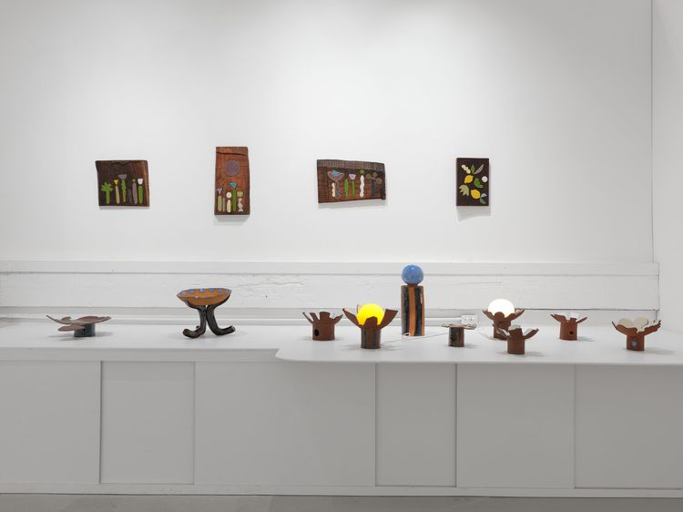 Installation view, Francesca Anfossi, Blunk Space · 2026 (9)