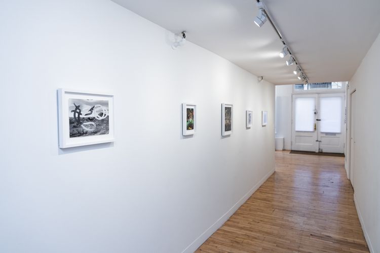 Installation view, Unreliable Narrators, 81 Leonard Gallery · 2026 (7)