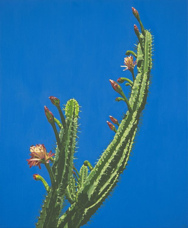 Lindsey Warren: Somewhere, Here, Billis Williams Gallery, Los Angeles, 2026