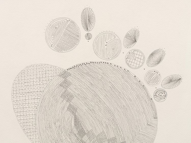Installation view, Gardens in Orbit, Casey Kaplan · 2026 (10)