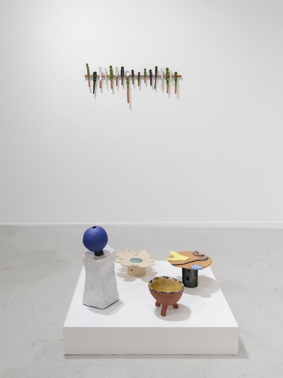 Installation view, Francesca Anfossi, Blunk Space · 2026 (10)