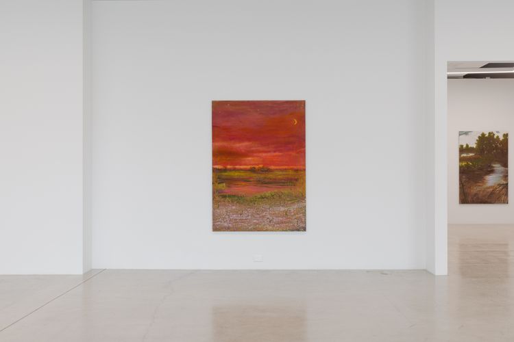 Installation view, Sean Cairns: And when morning comes it comes in the morning and never at night, 12.26 · 2026 (10)