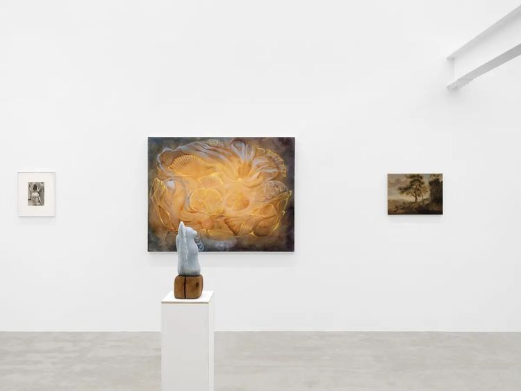 Installation view, Marie Tomanova, Harkawik Gallery · 2026 (2)