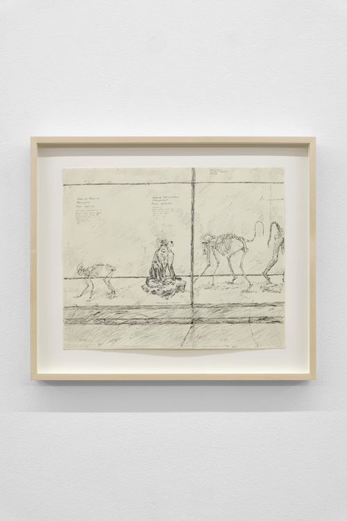 Miguel Ferrando, Untitled (Primates and Skeletons), ca. 1975–1985. Graphite on paper, 19 x 22 in. (Framed)