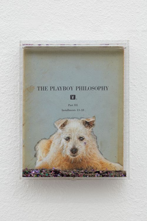 Installation view, Nymph, Ehrlich Steinberg · 2025 (4)