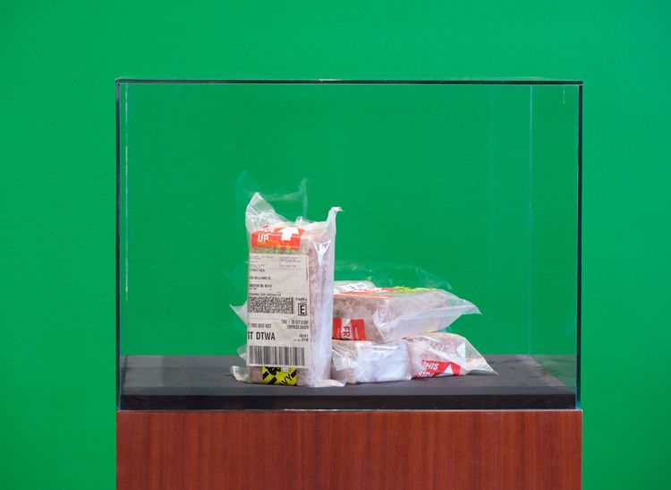 Installation view, X, California African American Museum · 2025 (4)