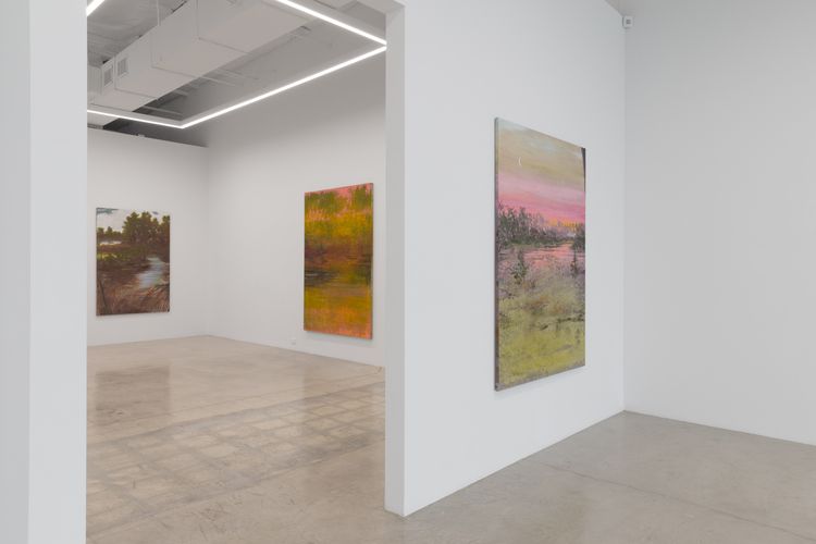 Installation view, Sean Cairns: And when morning comes it comes in the morning and never at night, 12.26 · 2026 (12)