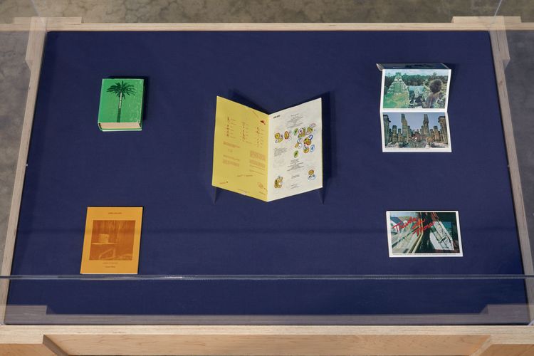 Installation view, a bookwork in many places, Joan · 2026 (18)