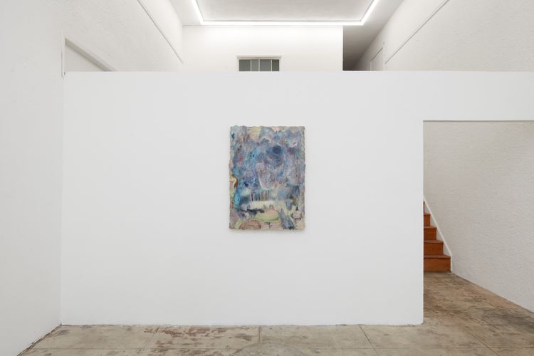 Installation view, Not bird, not horse, not insect, Ehrlich Steinberg · 2026 (1)