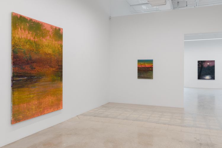 Installation view, Sean Cairns: And when morning comes it comes in the morning and never at night, 12.26 · 2026 (14)