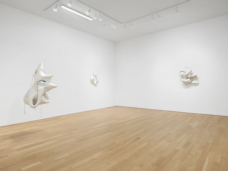 Installation view, Aletheia, Bienvenu Steinberg & C · 2026 (6)