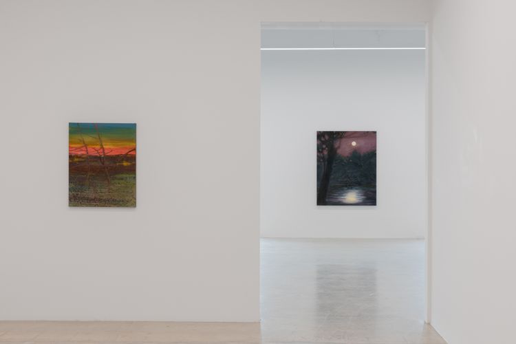 Installation view, Sean Cairns: And when morning comes it comes in the morning and never at night, 12.26 · 2026 (15)