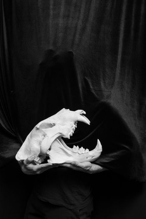 Installation view, Thanatosis (Playing Dead), The Empty Circle