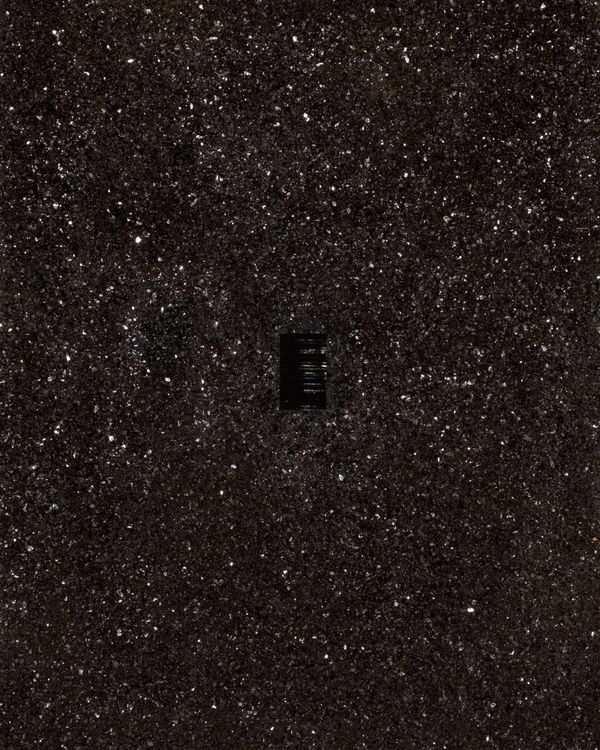 William T Carson, Nocturnal, 2026