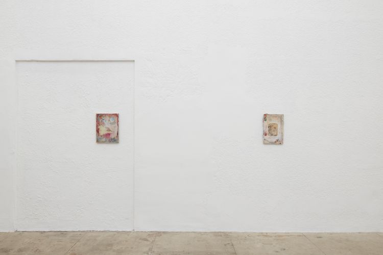 Installation view, Not bird, not horse, not insect, Ehrlich Steinberg · 2026 (7)