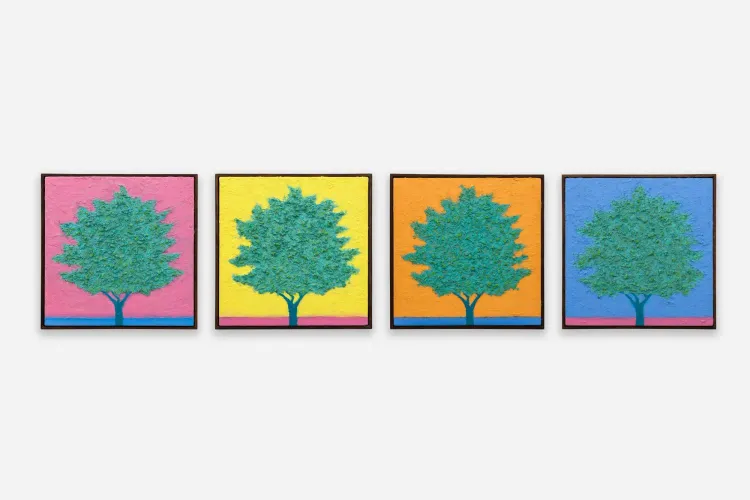 Yoab Vera, Scent of Hope: meditar junto al olivo (I, II, III, IV)