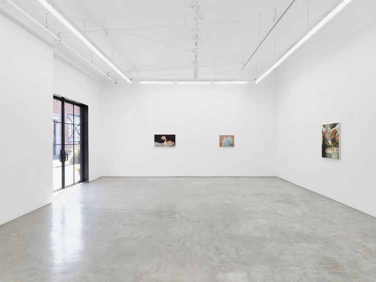 Installation view, Bucket of Birds, Night Gallery · 2026 (4)