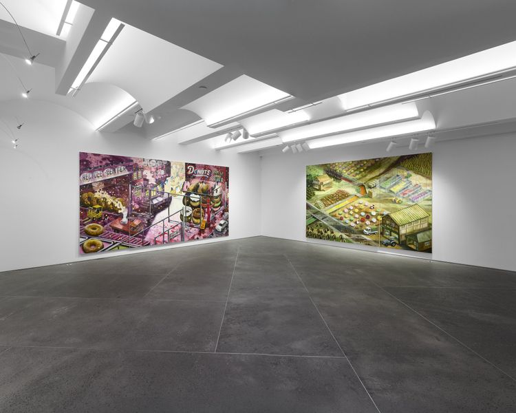 Installation view, Oscar Oiwa: The Supplemental Sublime, GOCA, New York, 2026
