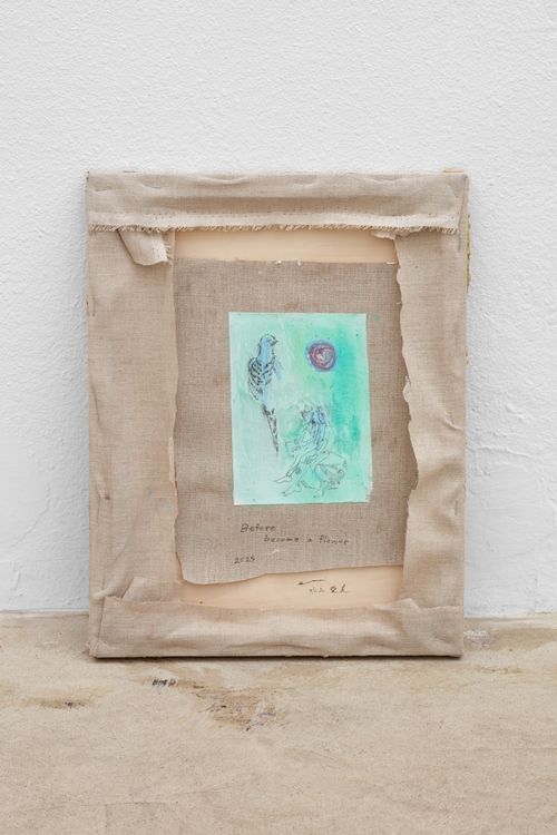 Installation view, Not bird, not horse, not insect, Ehrlich Steinberg · 2026 (9)
