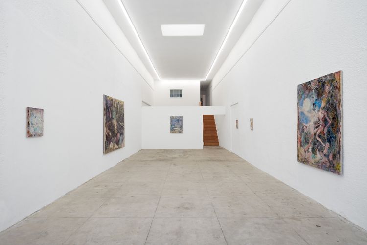Installation view, Not bird, not horse, not insect, Ehrlich Steinberg · 2026 (2)