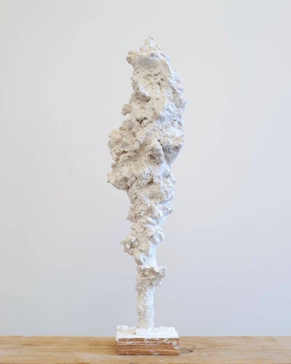 Installation view, Alack, There Lies More Peril in Thine Eye Than Twenty of Their Swords, Simchowitz Gallery · 2026 (9)