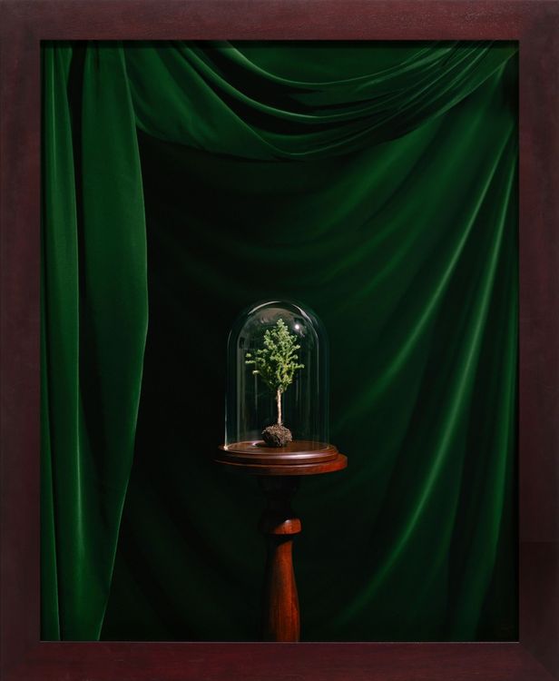 Installation view, WOODS LANDS MEADOWS숲 · 대지 · 초원, Paula Cooper, 521 W 21st Street
