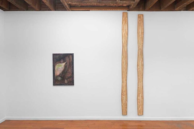 Installation view, The Long Livers in the World's Hale, Astor Weeks