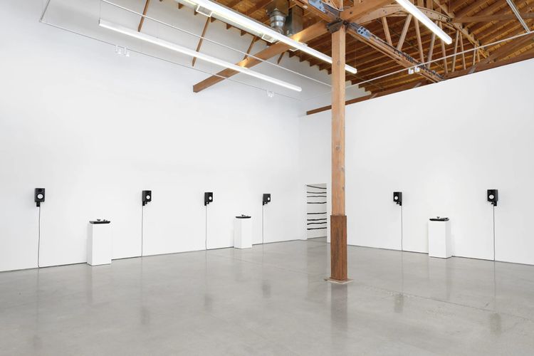 Installation view, American Sigh Language, François Ghebaly · 2025 (9)