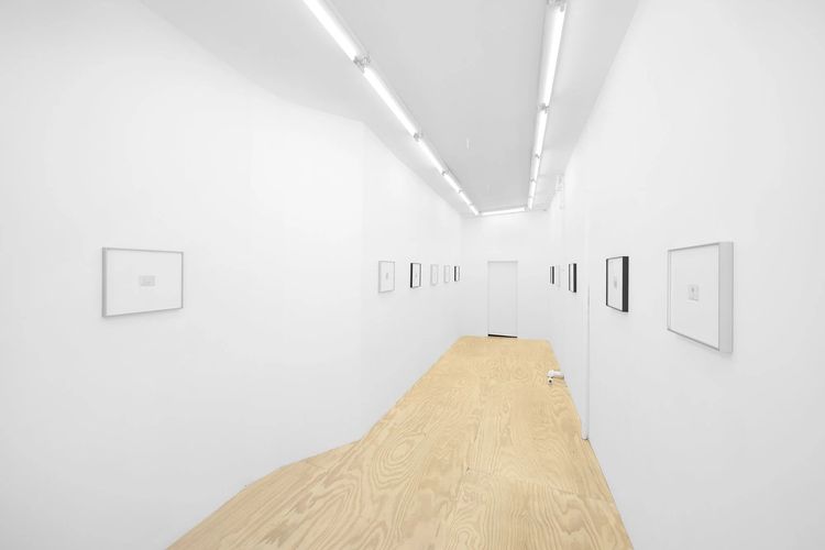 Installation view, Love Will Return in a Different Way, Parent Company · 2026 (3)