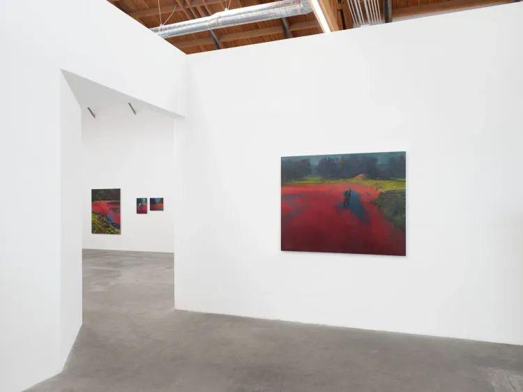 Installation view, Bogged Down, Abigail Ogilvy Gallery · 2026 (1)