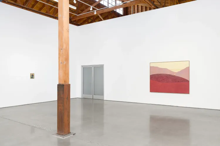 Installation view, Pillow Paintings, François Ghebaly · 2026 (9)