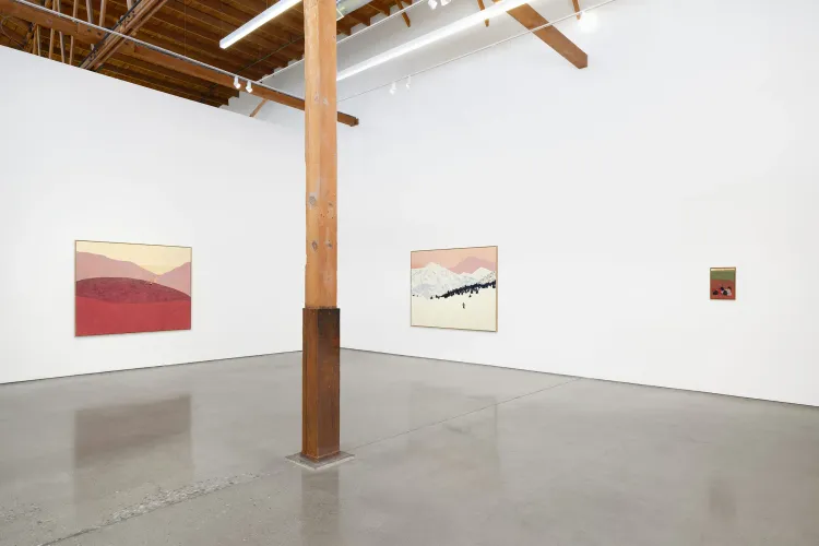 Installation view, Pillow Paintings, François Ghebaly · 2026 (10)