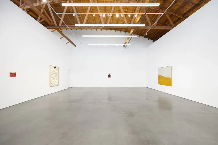 Installation view, Pillow Paintings, François Ghebaly · 2026 (5)