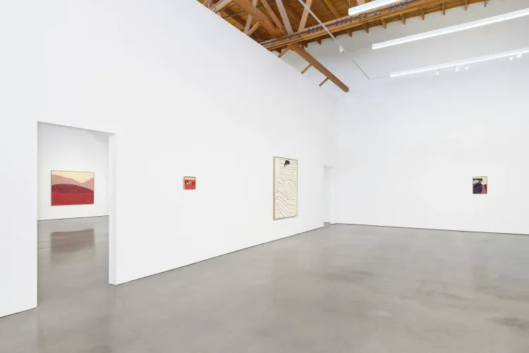 Installation view, Pillow Paintings, François Ghebaly · 2026 (3)
