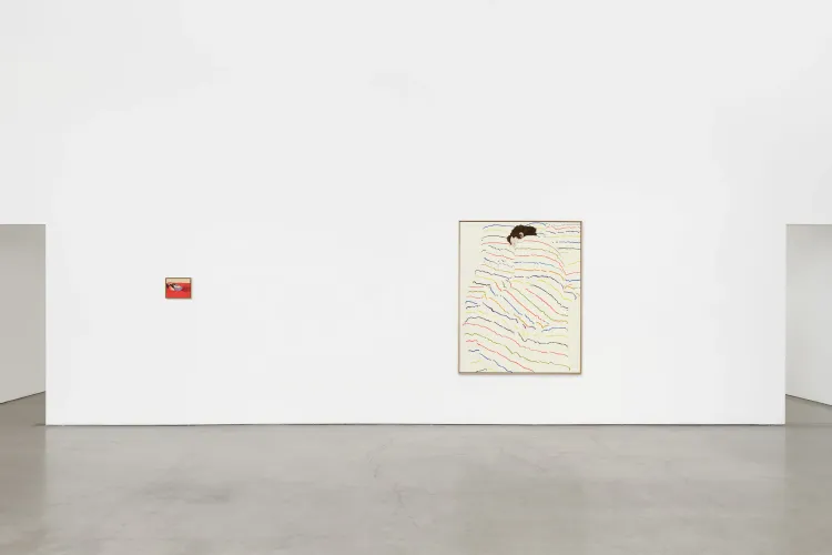 Installation view, Pillow Paintings, François Ghebaly · 2026 (11)