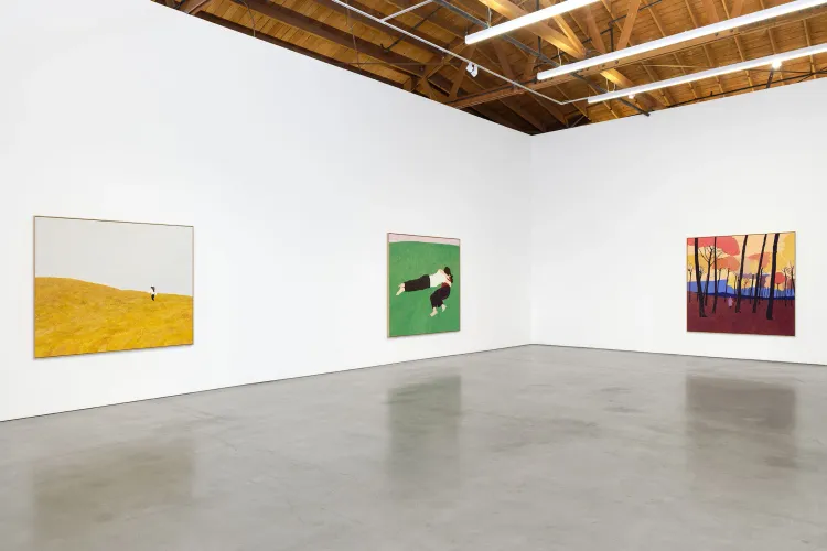 Installation view, Pillow Paintings, François Ghebaly · 2026 (14)