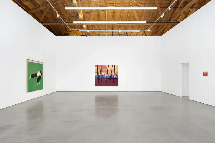 Installation view, Pillow Paintings, François Ghebaly · 2026 (13)