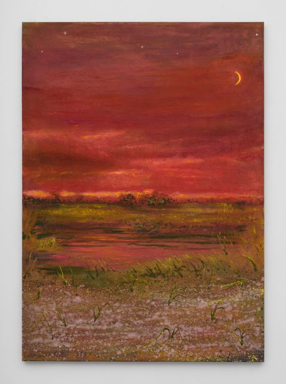 Installation view, Sean Cairns: And when morning comes it comes in the morning and never at night, 12.26 · 2026 (21)